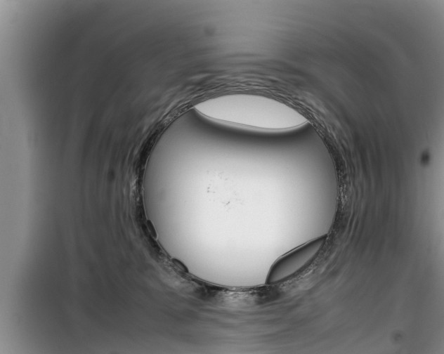 X0000100190327200805300730