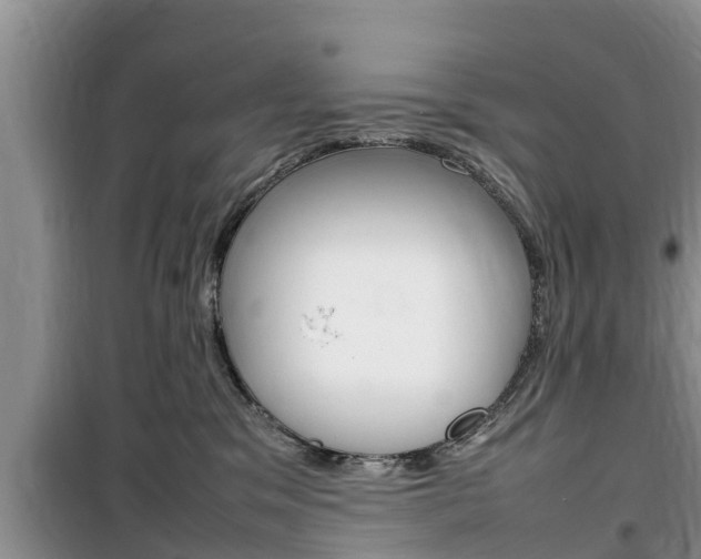 X0000100190329200805300730
