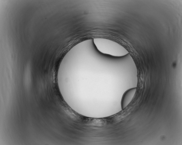 X0000100190330200805300730