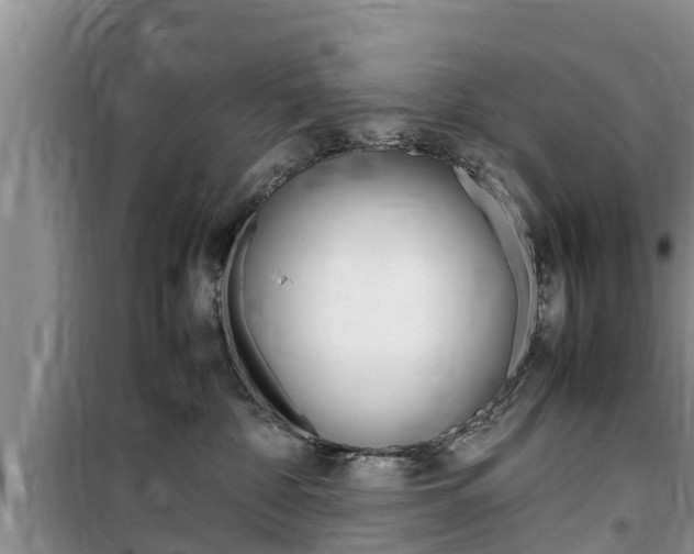 X0000100190332200805300730