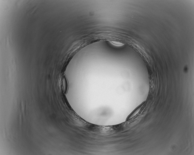 X0000100190333200805300730