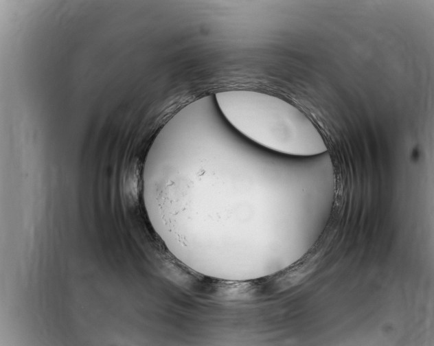 X0000100190334200805300730