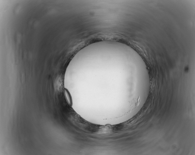 X0000100190335200805300730