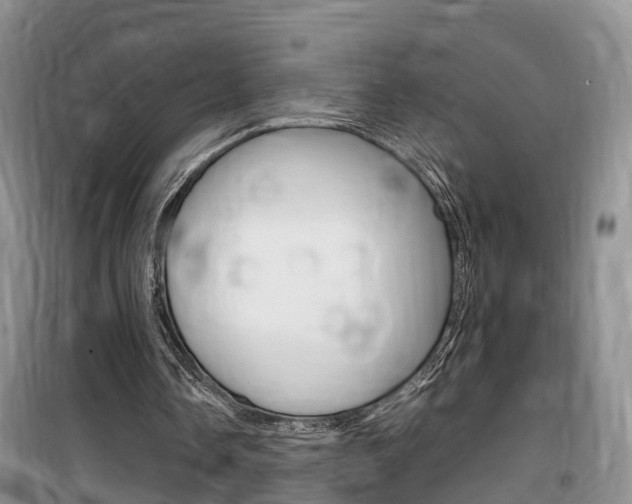 X0000100190338200805300729