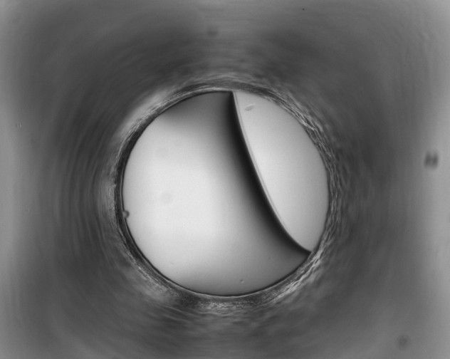 X0000100190341200805300729