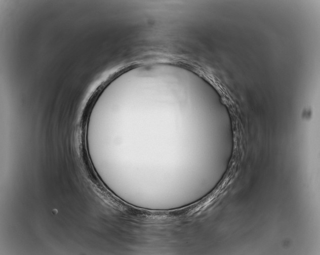 X0000100190342200805300729