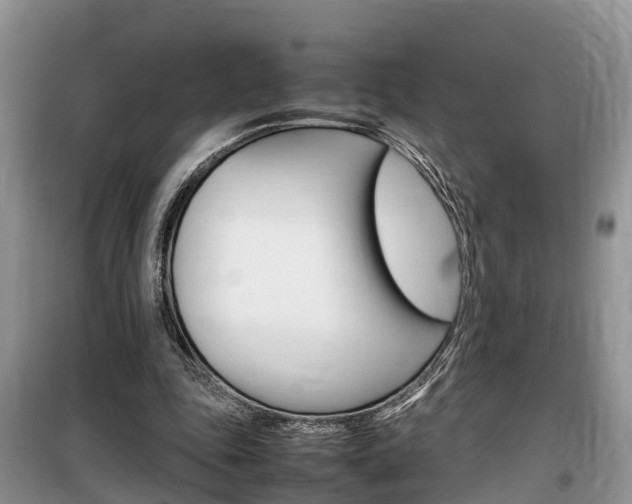 X0000100190343200805300729