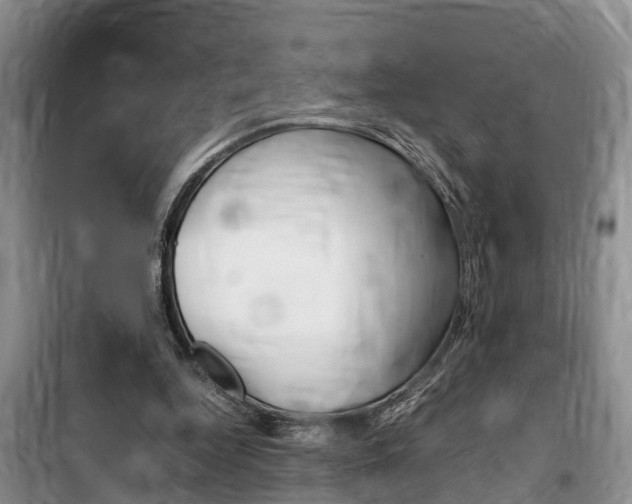 X0000100190344200805300729