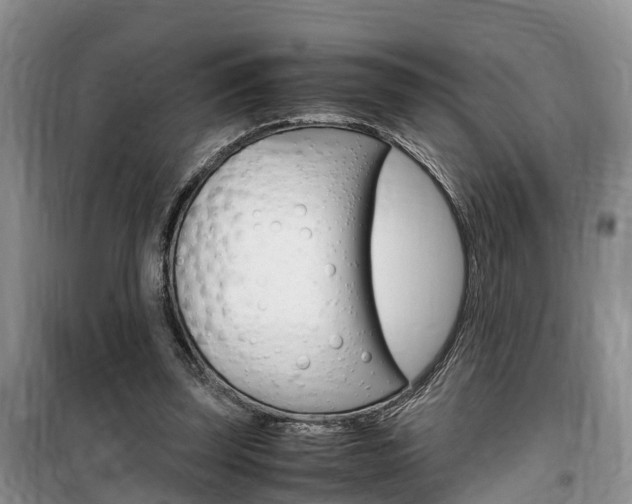 X0000100190347200805300730