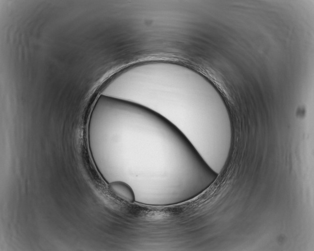 X0000100190348200805300730