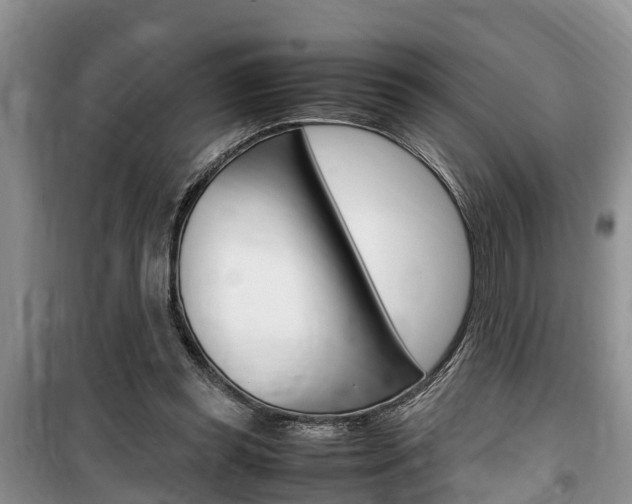 X0000100190349200805300730