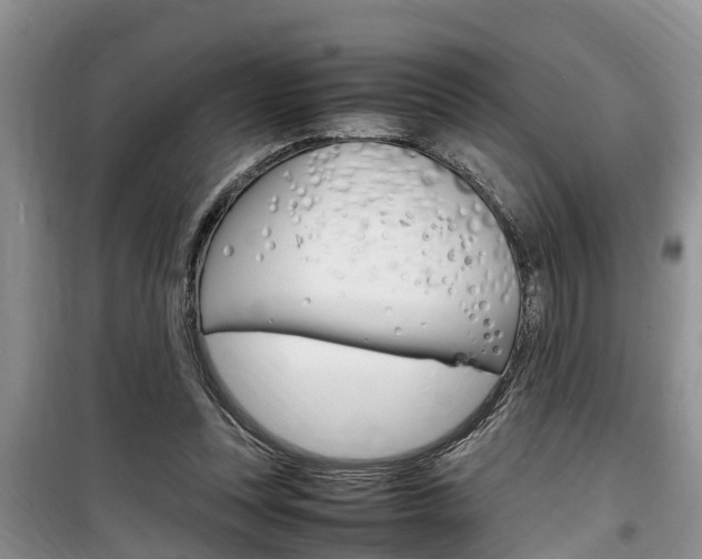 X0000100190351200805300730