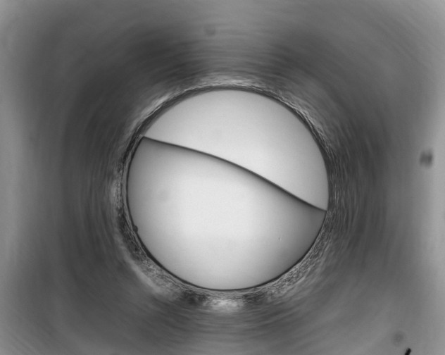 X0000100190352200805300730