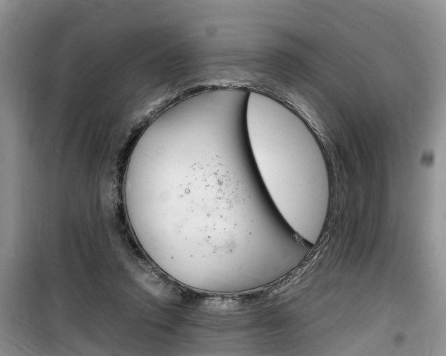 X0000100190354200805300730