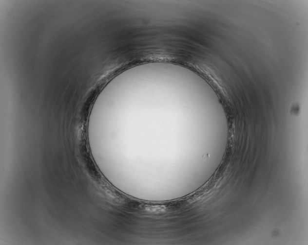 X0000100190355200805300730