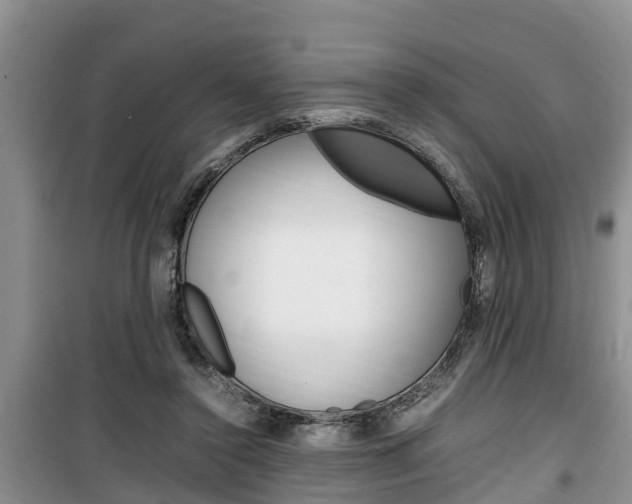 X0000100190356200805300730