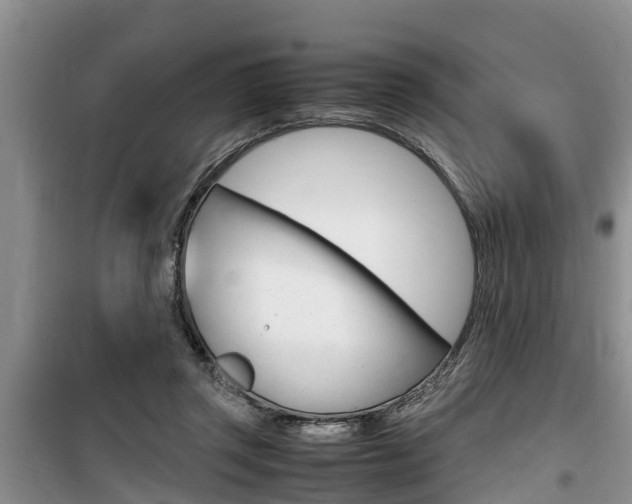 X0000100190357200805300730