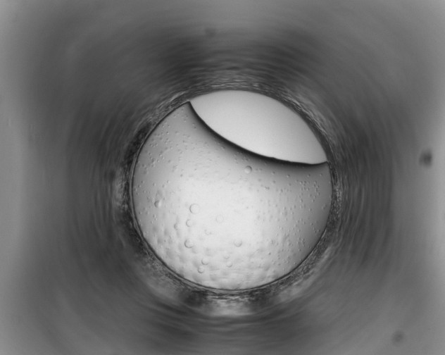X0000100190359200805300730
