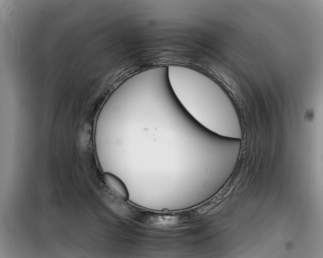 X0000100190361200805300730