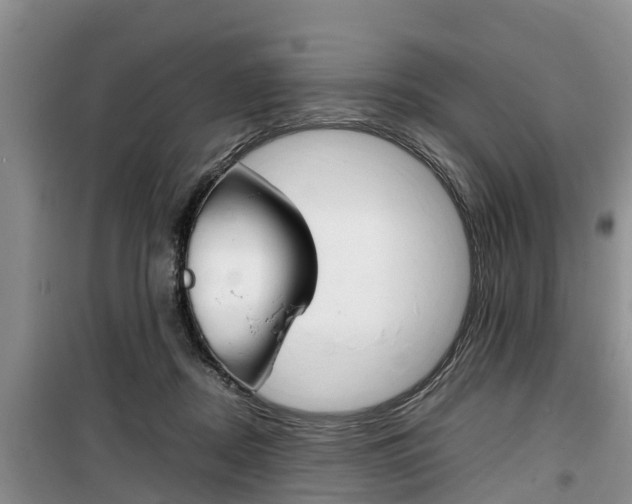 X0000100190362200805300730