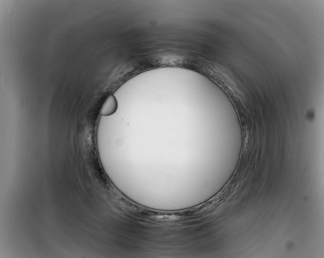 X0000100190363200805300730