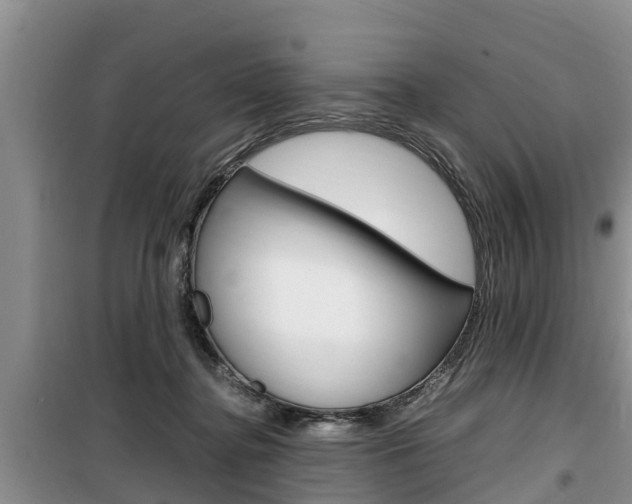 X0000100190364200805300730