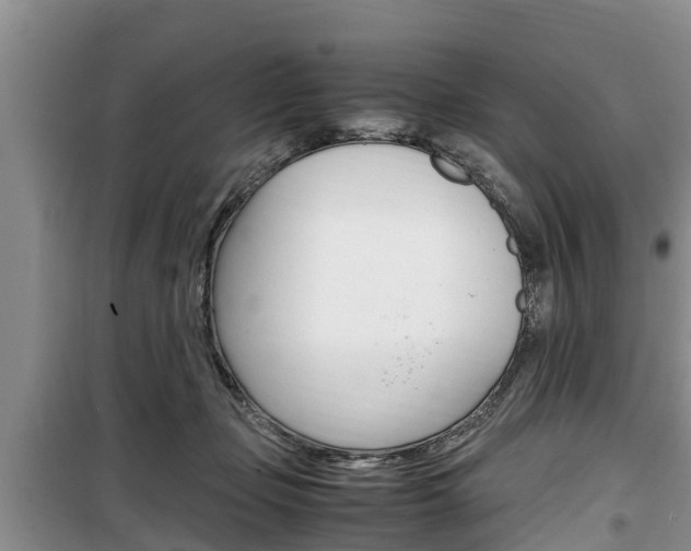 X0000100190365200805300730