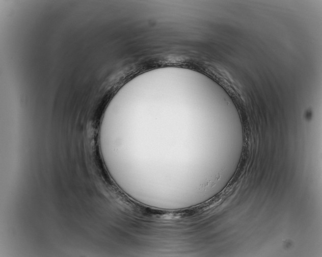 X0000100190366200805300730