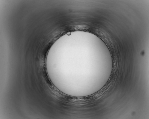 X0000100190367200805300730