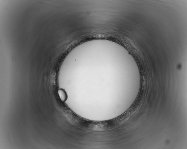 X0000100190368200805300730