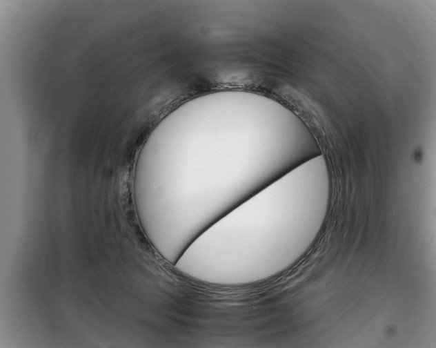 X0000100190369200805300730