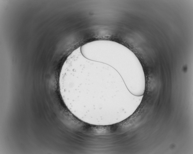 X0000100190370200805300730