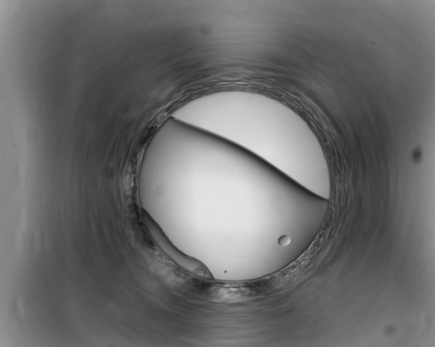 X0000100190372200805300730