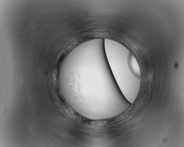 X0000100190373200805300730