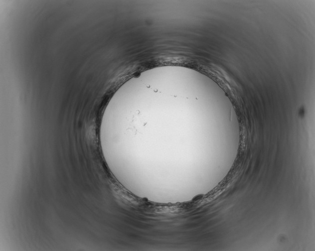 X0000100190377200805300730