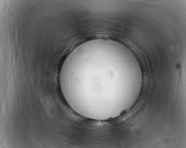 X0000100190379200805300730