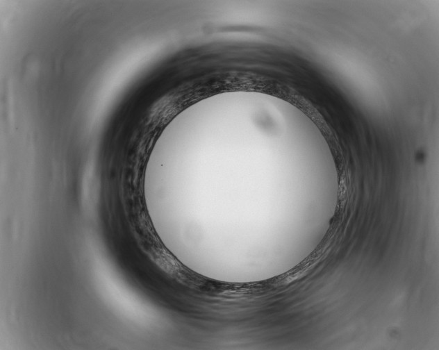 X0000100190381200805300730