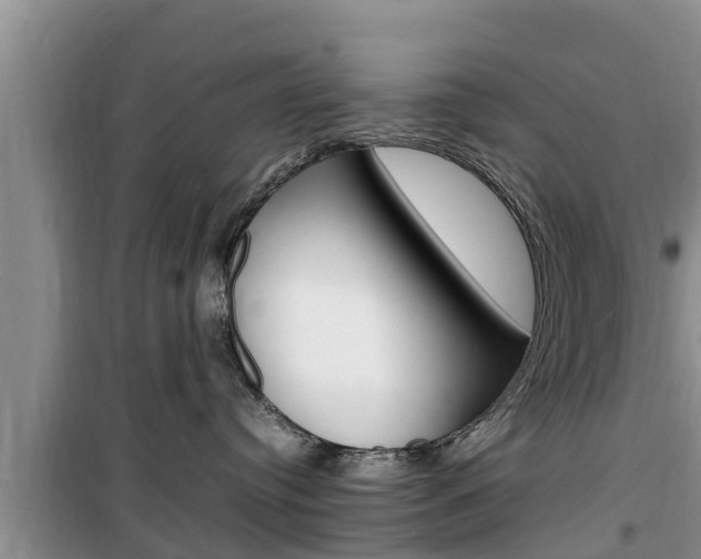 X0000100190384200805300730