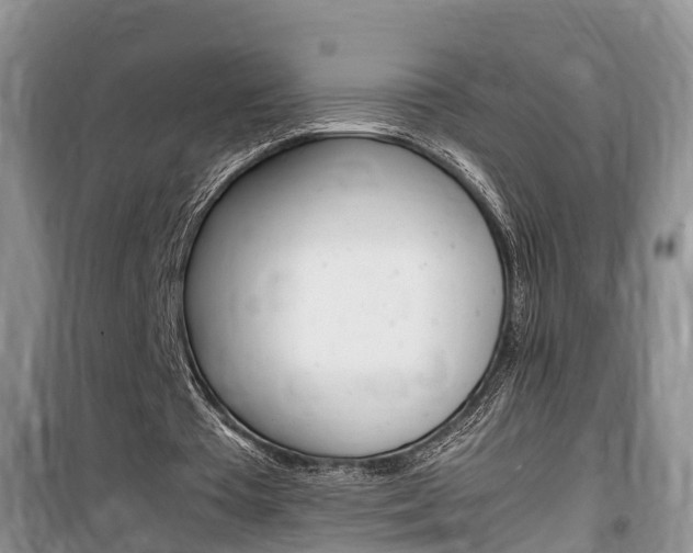 X0000100190385200805300729