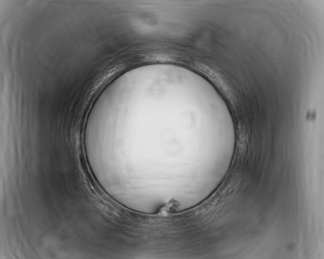 X0000100190386200805300729