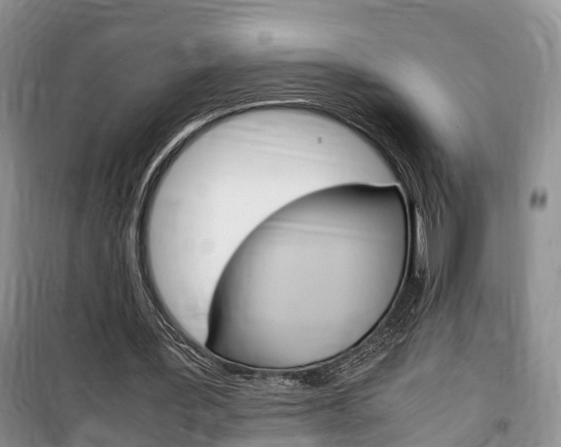 X0000100190387200805300729