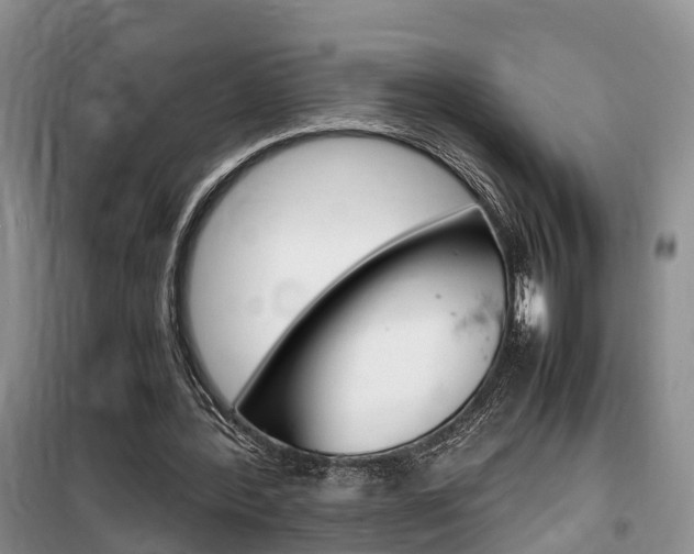 X0000100190388200805300729