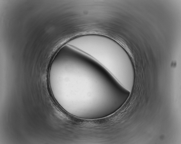 X0000100190389200805300729