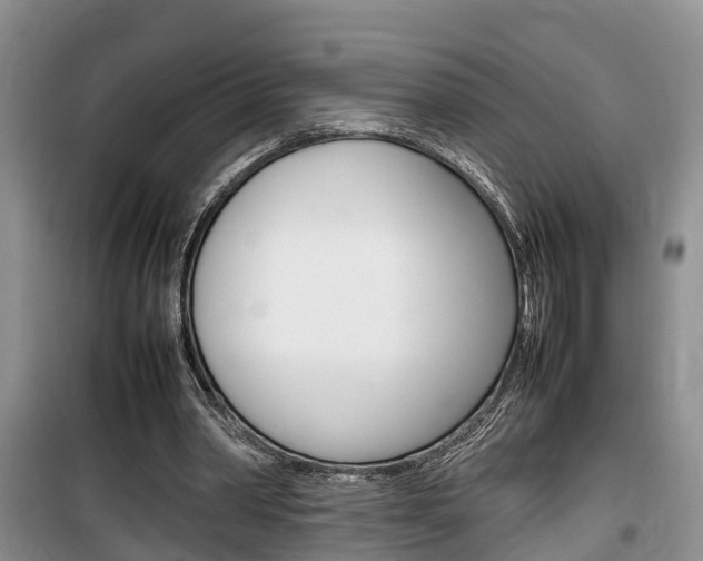 X0000100190390200805300729