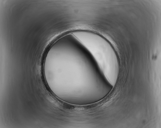 X0000100190391200805300729