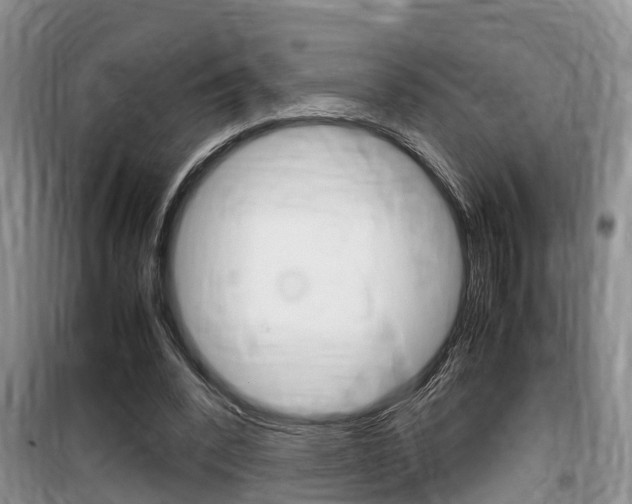 X0000100190392200805300729