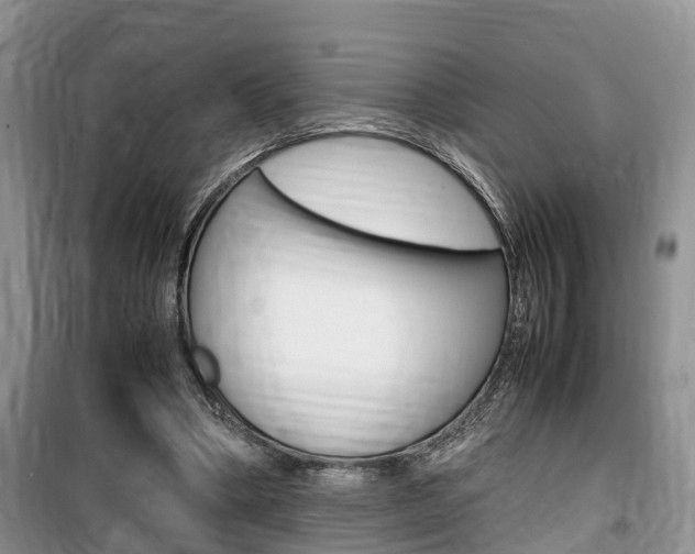 X0000100190394200805300729