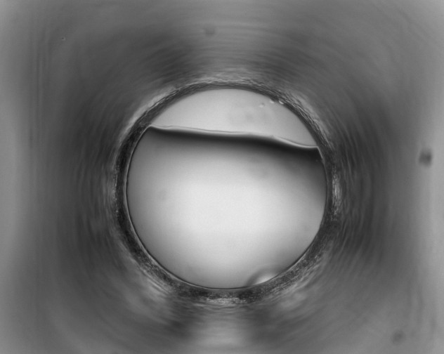 X0000100190396200805300729