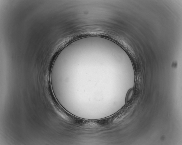 X0000100190397200805300729