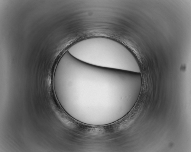 X0000100190398200805300729